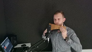 Frank Sinatra - My Way (panflute cover)