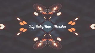 Big Baby Tape  - Treesha (slowed x reverb)