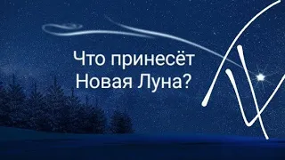 Что принесет новая луна? 4 короля / 4 королевы