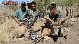 220” archery mule deer hunt on utah’s Henry mountains with Alpha Outfitters