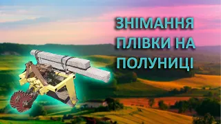 Як я знімав плівку на полуниці у 2022 році