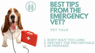 3 Tips That Could Save Your Pet's Life│ Twin Trees Vet Talk (FREE VET ADVICE PODCAST)