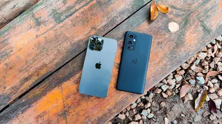 iPhone 13 Pro Vs OnePlus 9 Pro CAMERA Comparison | Wow 👀