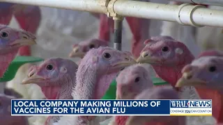 Holly Spring lab making millions of doses of bird flu vaccine