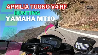 Aprilia Tuono V4 RF & Yamaha R1 hunting 2023 MT10 SP. #yamaha #aprilia #v4
