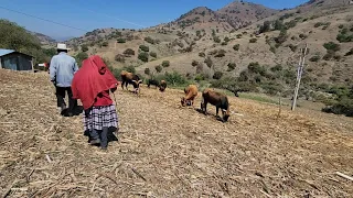 "Dios me dio este lugar y aquí vivimos"|Tío Berna.