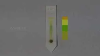 Paper Chromatography - MeitY OLabs