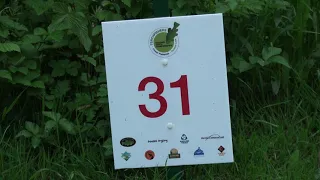 National Tench Championships 2023 Linear Fisheries on Oxlease Lake #tenchfishing