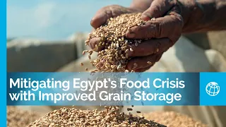 Mitigating Egypt's Food Crisis with Improved Grain Storage