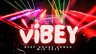 Vibey House Mix (Bonus Tracks)