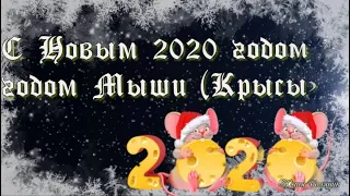 С новым 2020 годом, годом Мыши (Крысы)!