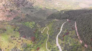 Birya Forest, Galilee, Israel, by drone-יער ביריה מרחפן