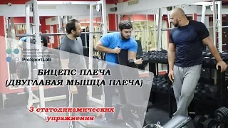 СТАТОДИНАМИКА. Упражнения на бицепс плеча