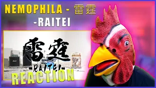 THIS BAND SLAPS! Rooster Reacts to NEMOPHILA  雷霆  - RAITEI