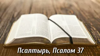 Псалтырь, 37 псалом | Библия на каждый день| Слушать Библию | Псалом 37 глава | День 85