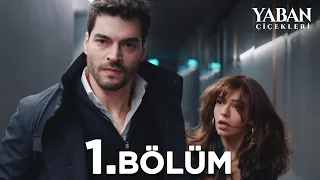 Yaban Çiçekleri 1. Bölüm @atvturkiye