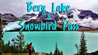 BERG LAKE TRAIL AND SNOWBIRD PASS | Best Hikes in the Rockies | Mount Robson Provincial Park, BC