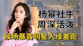 明星成“电灯泡”反应差距，杨幂社牛达人，周深活泼！