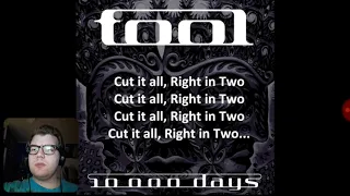Tool - Right In Two Reaction!