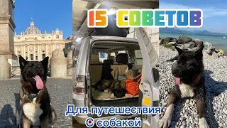 15 СОВЕТОВ ДЛЯ ПУТЕШЕСТВИЙ С СОБАКОЙ НА МАШИНЕ /Что необходимо в дороге