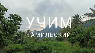 Учим самые используемые слова на Тамильском языке... 👍😁