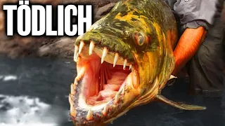 MENSCHENFRESSENDE Fische!