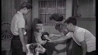Lassie - Episode 114 - "The Wolf Cub" - Season 4, #11 (11/17/57)