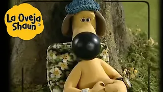 La Oveja Shaun 🐑 Foto de un perro en primavera 🐑 Dibujos animados para niños