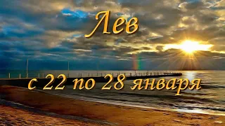 Лев Таро прогноз на неделю с 22 по 28 января 2024 года.