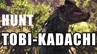 Monster Hunter World: Tobi-Kadachi Boss Fight (Solo / Light Bowgun)