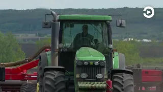 Аграрии Пензенской области пытаются спасти урожай после майских заморозков