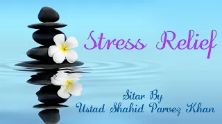 Stress Relief |  Instrumental Sitar | Ustad Shahid Parvez Khan | Sagarika Music