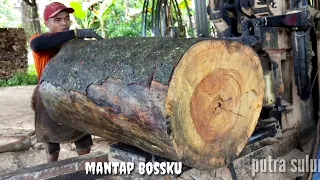 Yang "BEGINI UNTUNG BANYAK || DUA KALI LIPAT BOSS UNTUNG