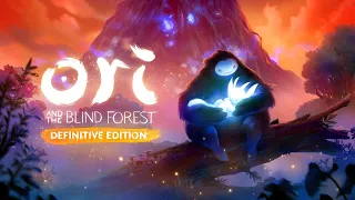 Ori and the Blind Forest #9