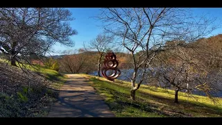 Mt . Lofty Botanical Gardens  ( July 2023 )