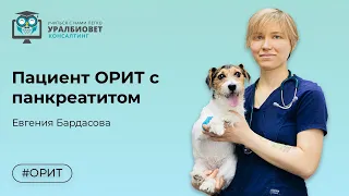 Пациент ОРИТ с панкреатитом, лектор Бардасова Евгения Алексеевна