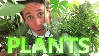 ♥ PLANT DAD - Sp4zie IRL