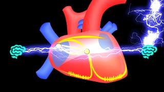 🔴 APPRENEZ LE SYSTEME ELECTRIQUE DU COEUR EN 7 MIN EN 2017 ! - DR ASTUCE