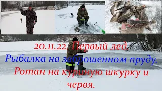 20.11.22. Первый лед. Рыбалка на заброшенном пруду.  Ротан на куриную шкурку и червя.