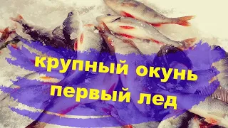 первый лёд на озере ДОН ТЫ/ловля окуня/поиск хищника/рыбалка на севере