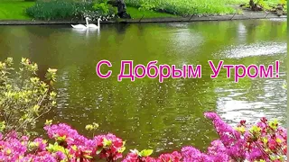 С Добрым Утром! 🌺 Музыка Сергей Чекалин!  Красивая Музыкальная Открытка Пожелания!