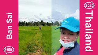 Surin - Thailand Rainy Season - After The Rains