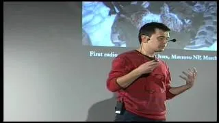 The elusive Balkan lynx: Aleksander Trajce at TEDxTirana