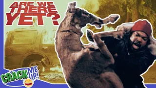 ICE CUBE fights a DEER | Are We There Yet? | Best Scenes
