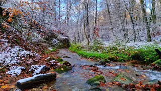 Relaxation sounds of a stream in the forest in winter for sleep || Quickly fall asleep and sleep.