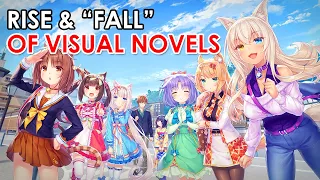 The Rise and "Fall" of Visual Novels