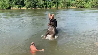 Тайланд, купание на слонах 2