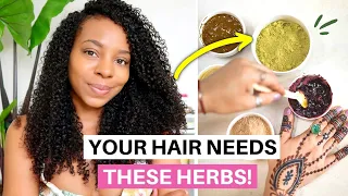 Dear Natural Hair Community, You Need to Be Using Ayurvedic Hair Care!