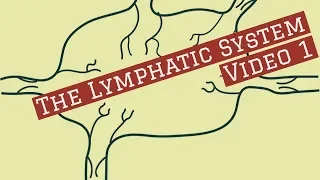 lymphatic system Video 1- New Recording-Leaving Cert Biology Lymphatic System