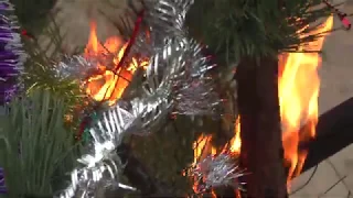 Как новогодняя елка может привести к трагедии